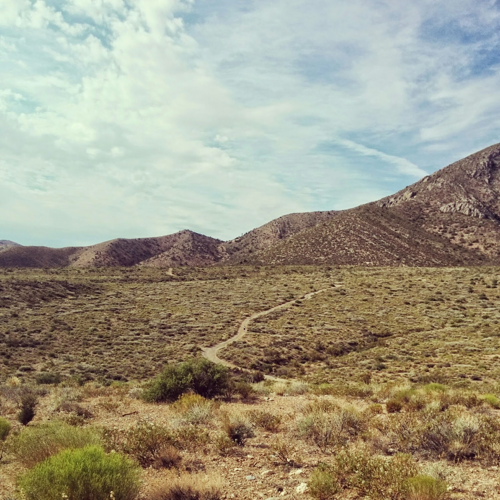 Trail Running | Las Vegas, NV
