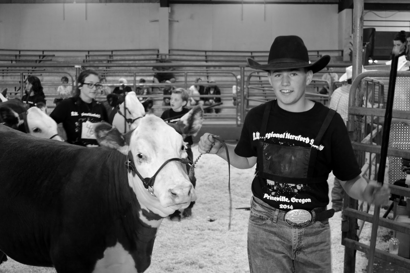 Success is Reason Enough: Why showing livestock matters.