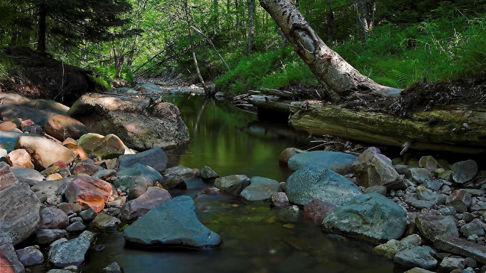 http://2.bp.blogspot.com/-bqip7wAk8Jk/T7-Smb2oZdI/AAAAAAAAGxk/sbLt8thwCTM/s1600/Amazing_Waterscapes_Full_HD_Wallpaper_23.jpg