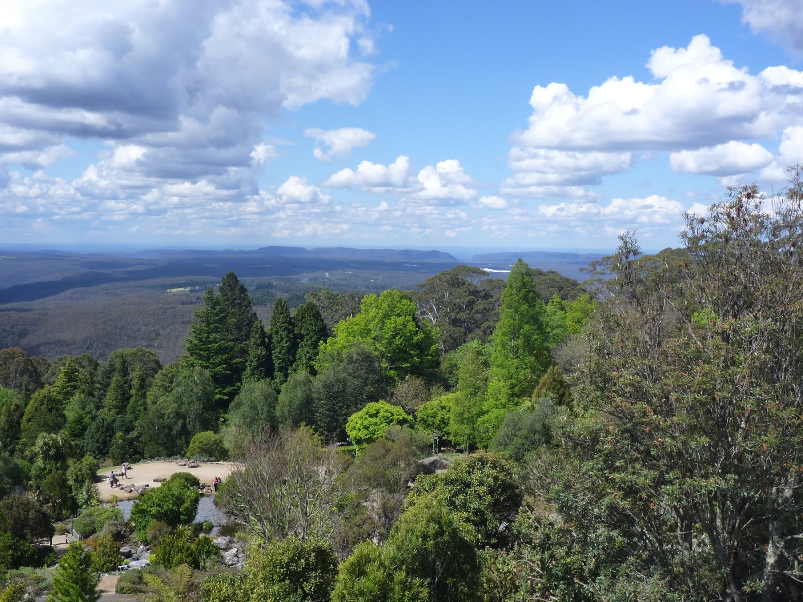Just Keep on travelling Mount Tomah NSW Botanic Gardens