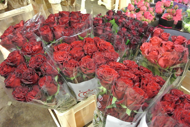 Red roses New Covent Garden Flower Market, Bloomfield Wholesale Florsit