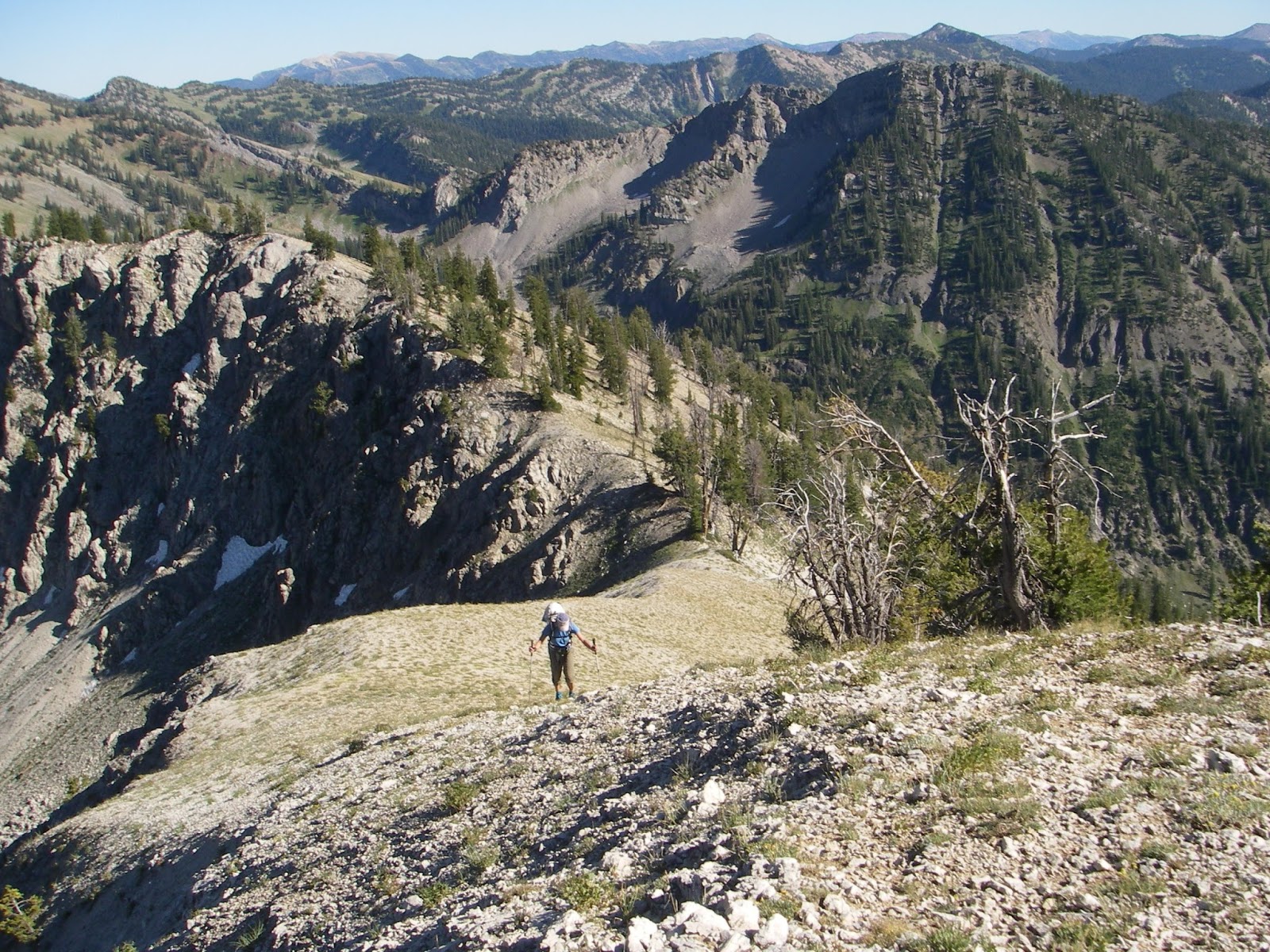 Forrest McCarthy Salt River Range