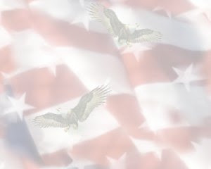 moleskinex19 american flag background us flag watermark