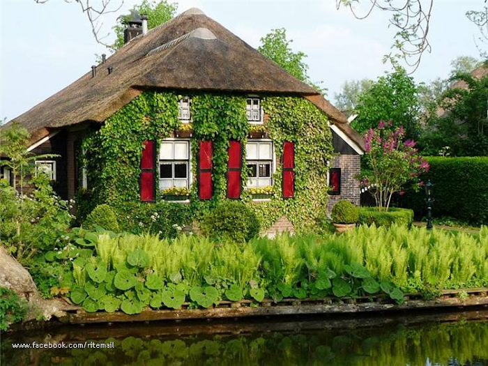 Muna Lefta: طبيعة هولندا‎