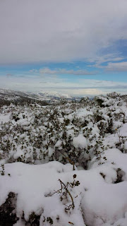 Hermosa estampa invernal donde la nieve es la protagonista