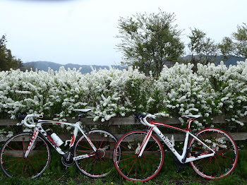 蒜山サイクリングロード