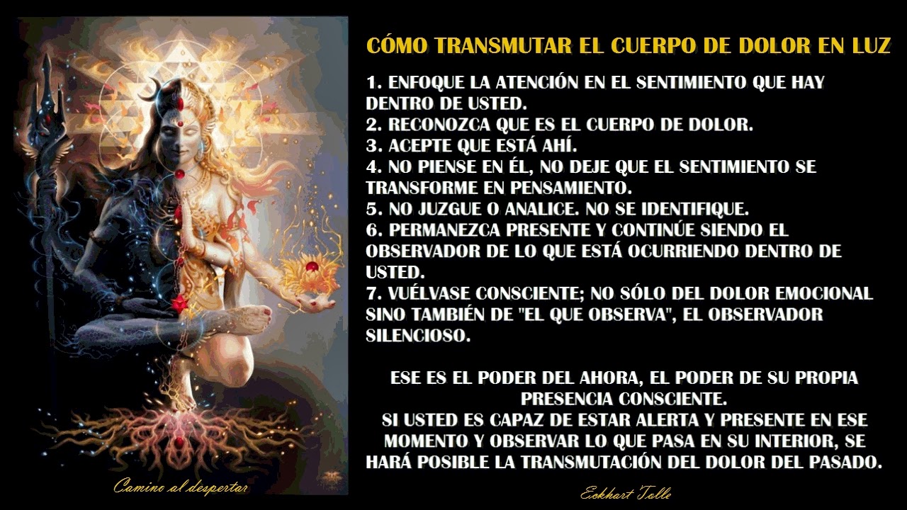 Camino al Despertar julio 2014