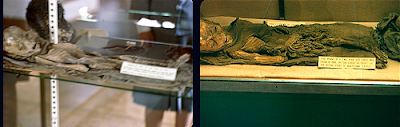 Mummy Pics Juxtaposed Mummy Pics Juxtaposed