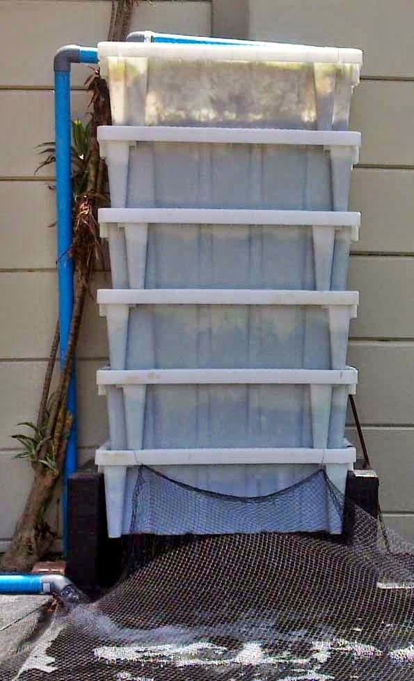 Filter Kolam Koi dengan Bakki Shower Akuarium Ikan Hias