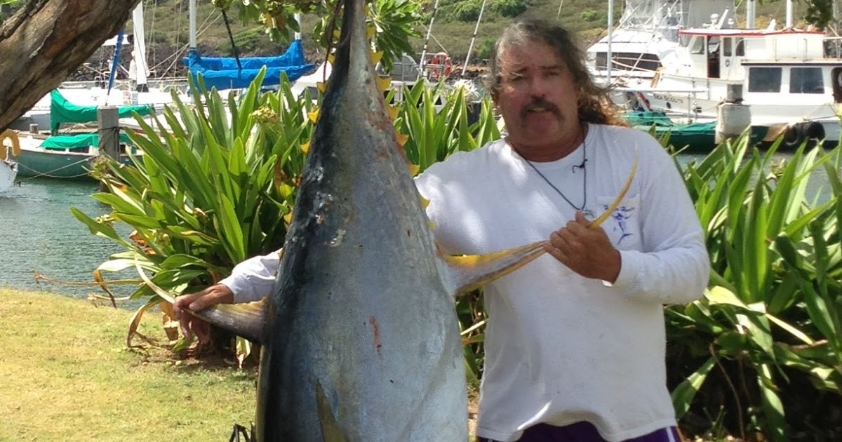 Clure Fishing Chaters Kauai Hawaii 210 pound Wicked tuna, Kauai style