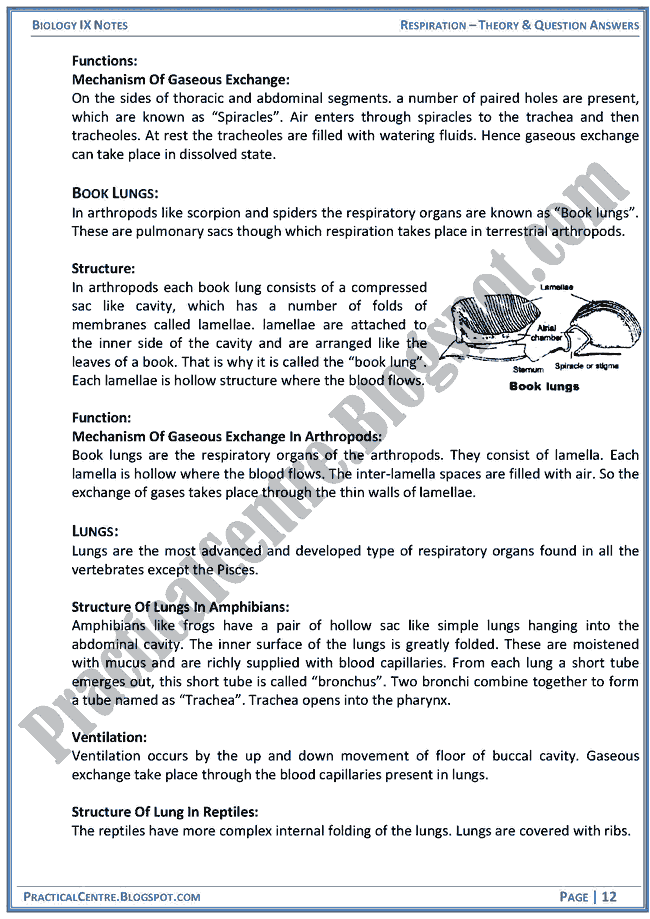 respiration-theory-and-question-answers-biology-ix