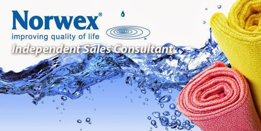 Independent Norwex Sales Consultant