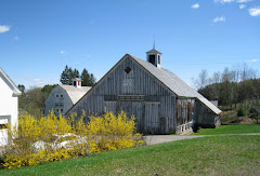 The Stone Trust Center