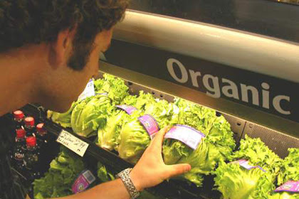 Organic Food Extend Life Expectancy