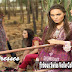 Firdous Swiss Voile Collection 2013 For Ladies | Summer's Casual Wear, Formal Wear Dresses