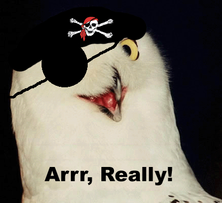 Post a random pic Orly+pirate+owl