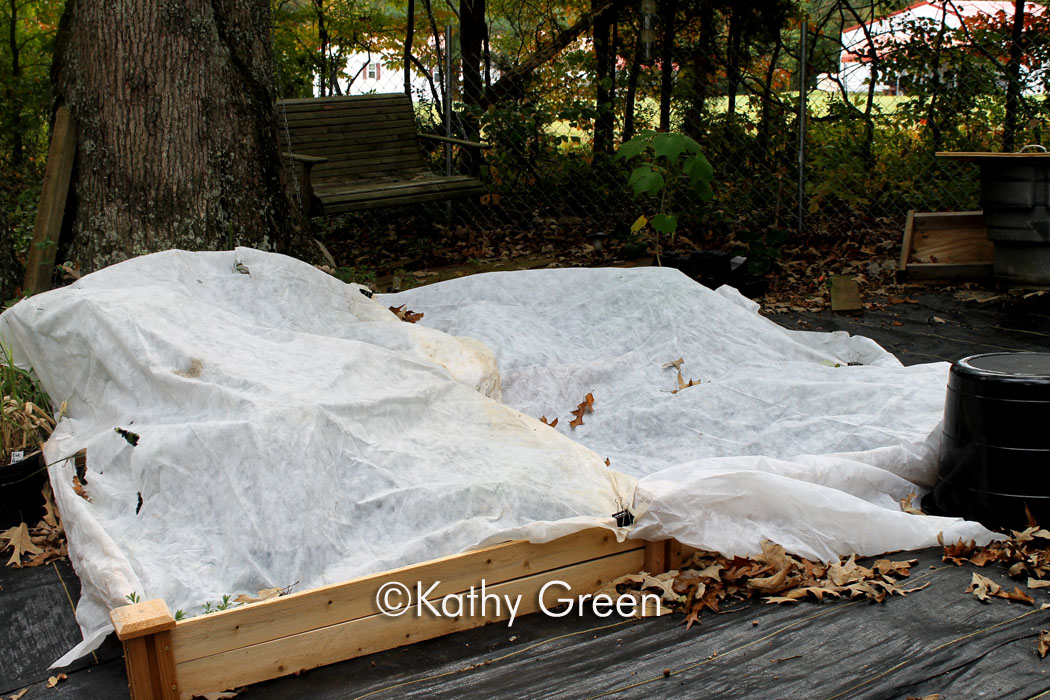 Gardening Tips for Small Spaces Protecting your Plants with Frost Blankets