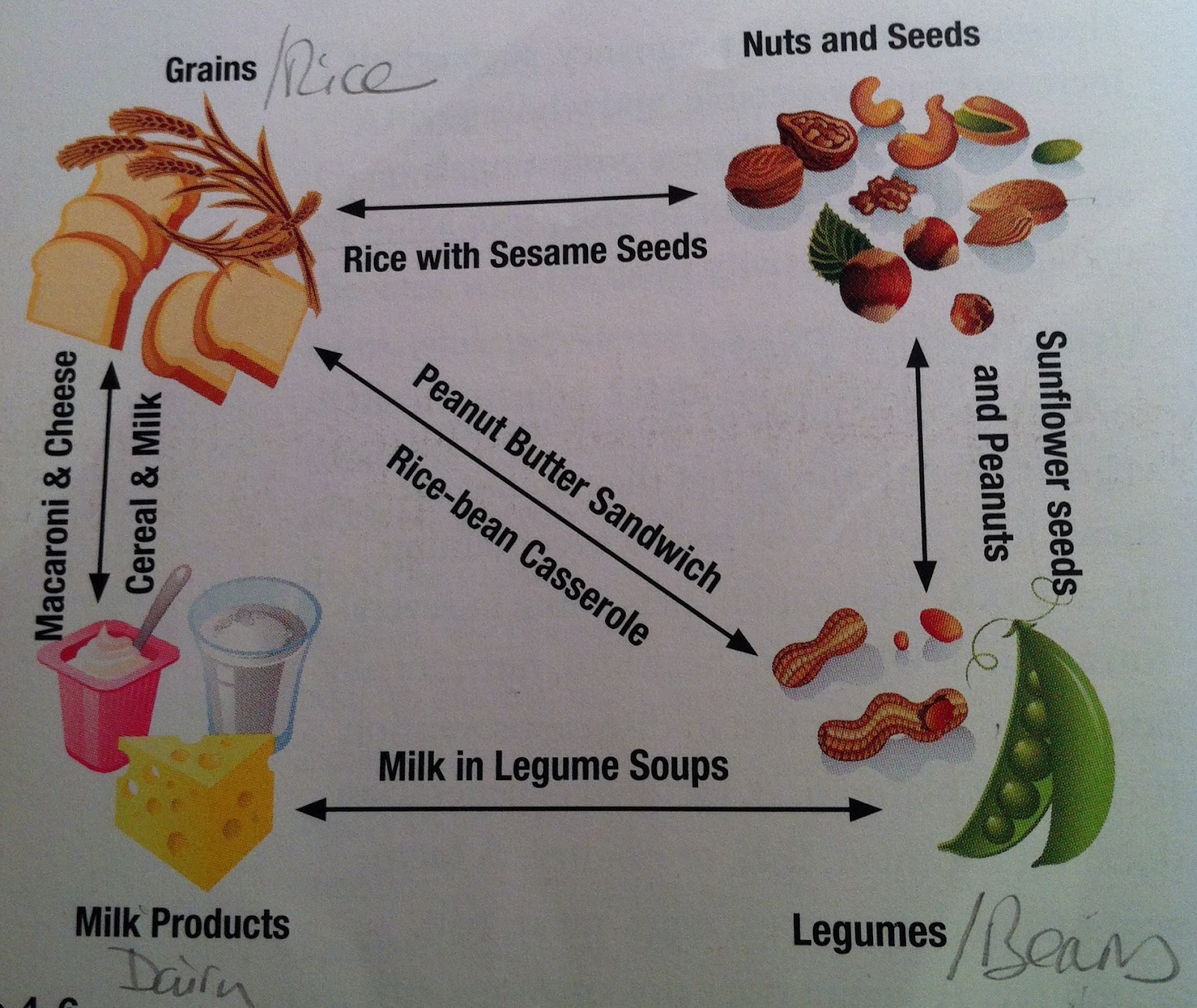 very effective fitness training vegetarian protein complementarity complementary proteins chart