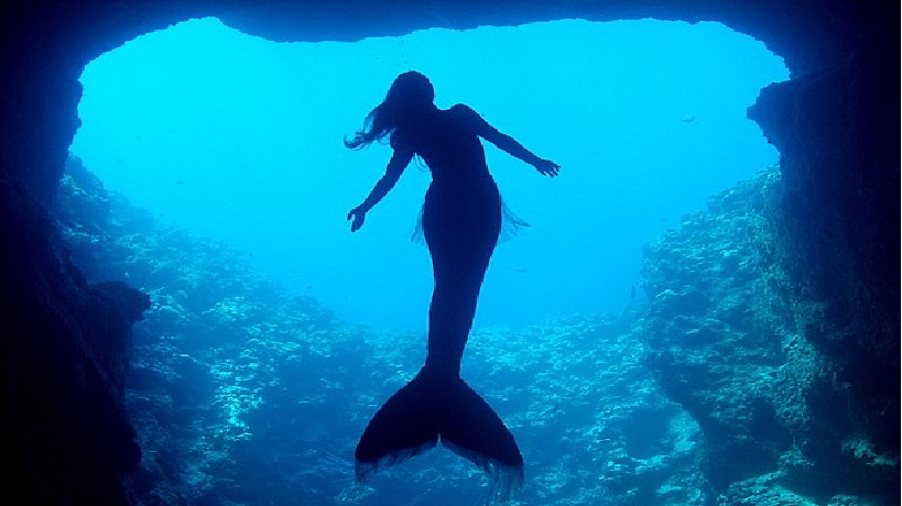 mermaids a legendary aquatic creatures Mythical water creatures a mermaid is a legendary aquatic creature with the upper body of a female human and the tail of a fish. mermaids a legendary aquatic creatures Mythical water creatures a mermaid is a legendary aquatic creature with the upper body of a female human and the tail of a fish.