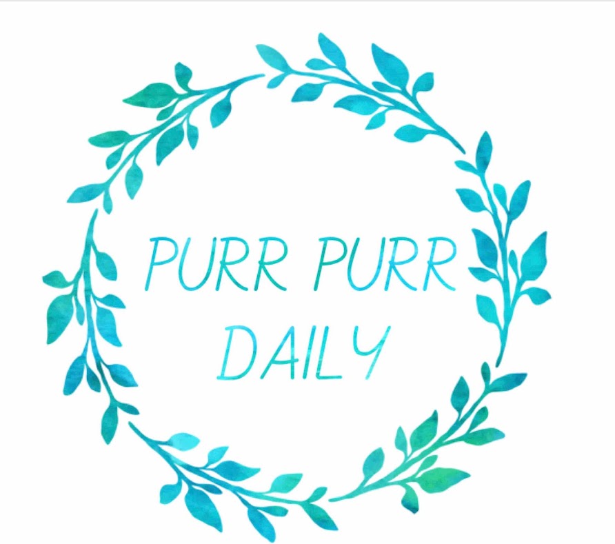 PurrPurr Daily