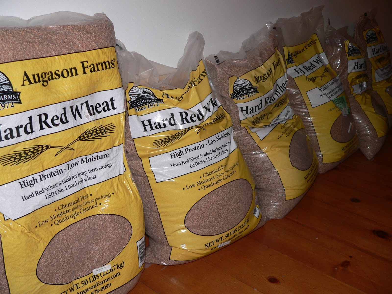 Modern Reliance Food Storage