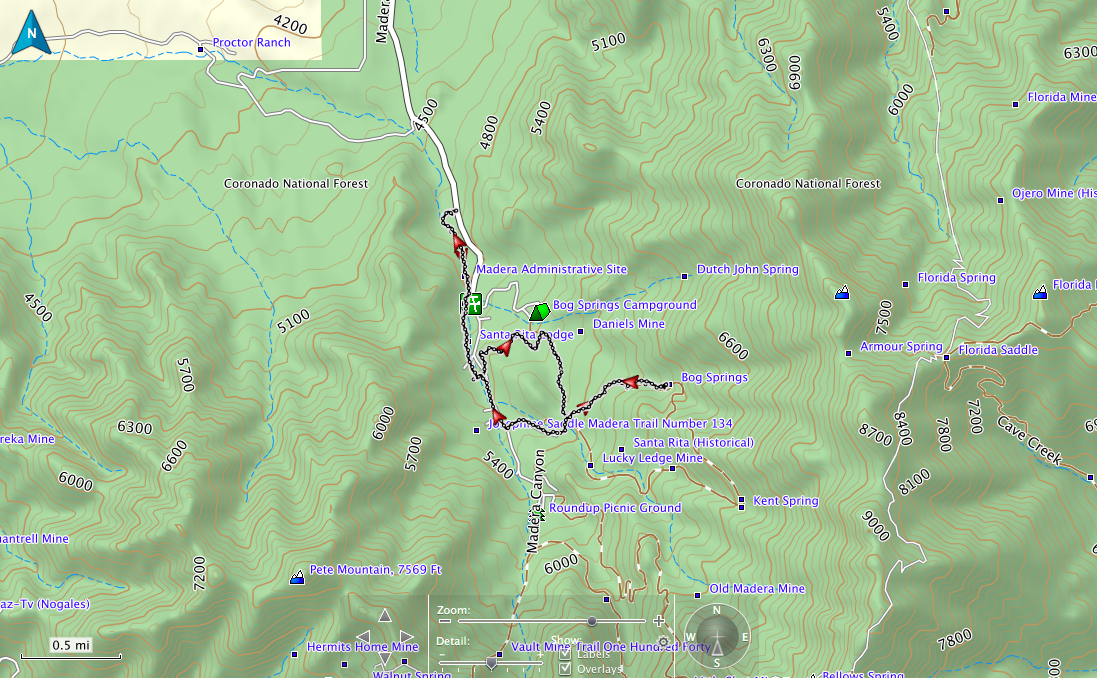 Hiking Madera Canyon, Nature Trail to Bog Springs Trail