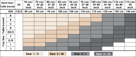 cup size chart visual