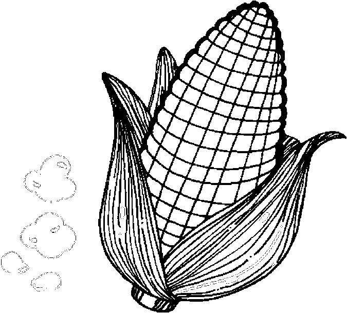 Corn coloring page, Colouring pages printable free, Coloring pages