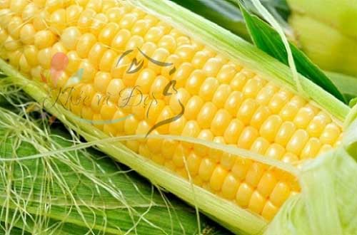 Chia Sẽ Cách Giảm Cân Nhanh Nhất Hiện Nay Chia Sẽ Cách Giảm Cân Nhanh Nhất Hiện Nay