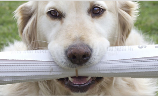 free Pet Samples + Travel Discounts free Pet Samples + Travel Discounts