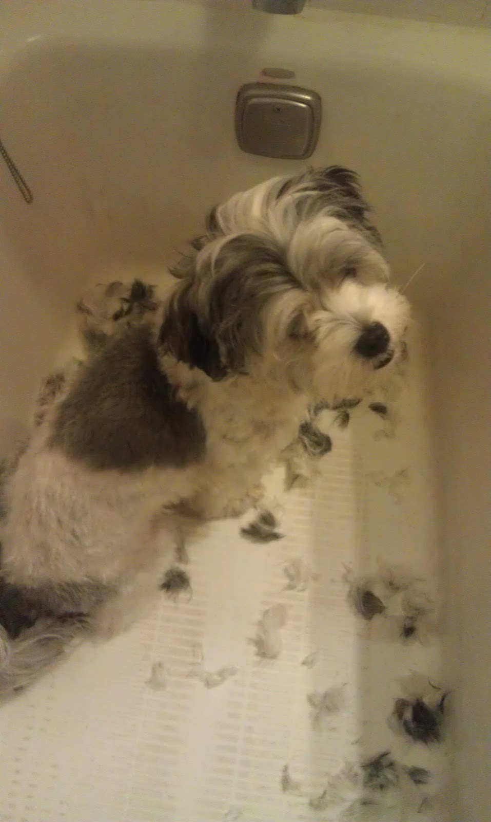 Sep 27, 2011. Sweetest Day Is A Day When People Celebrate Love, Romance, And Friendship.  Sweetest Day. Sweetest Day Was Originated In The Early 1920s In Cleveland  Ohio. It Was Not A .. Error: Twitter did not respond. Please wait.