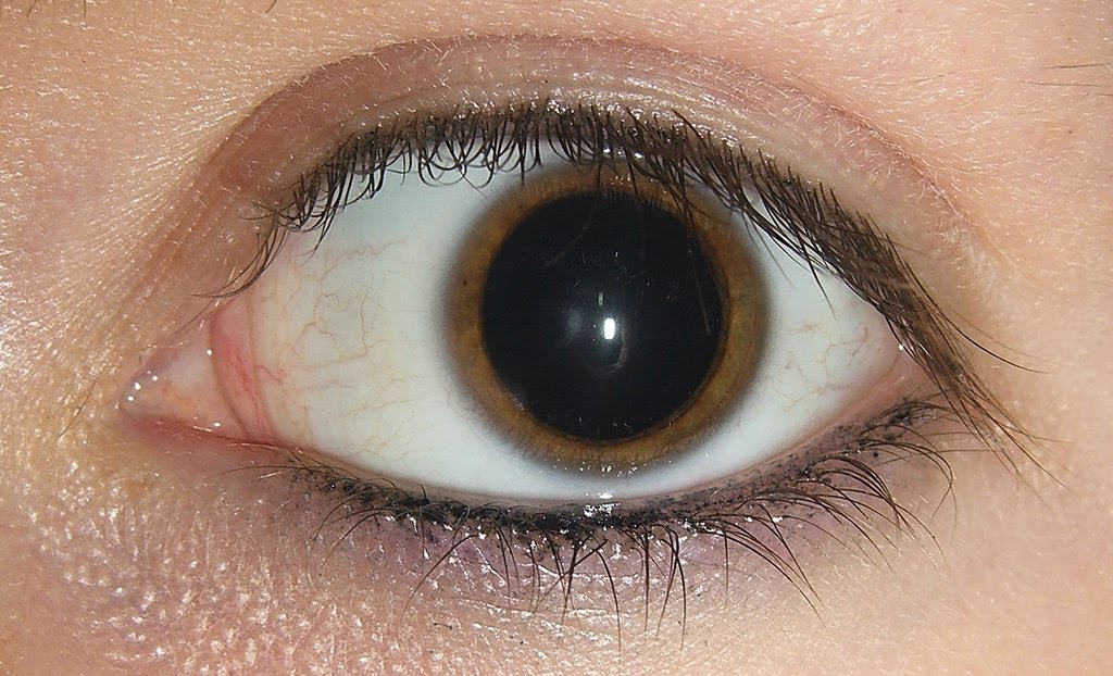 Creation The Written Truth HUMAN EYE, CONES, CORNEA, RETINA, IRIS