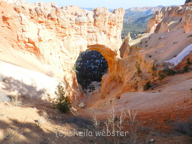 a great example of a natural bridge due to erosion