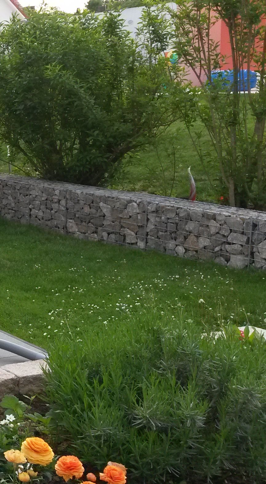 Plain White Eine Gabionenmauer