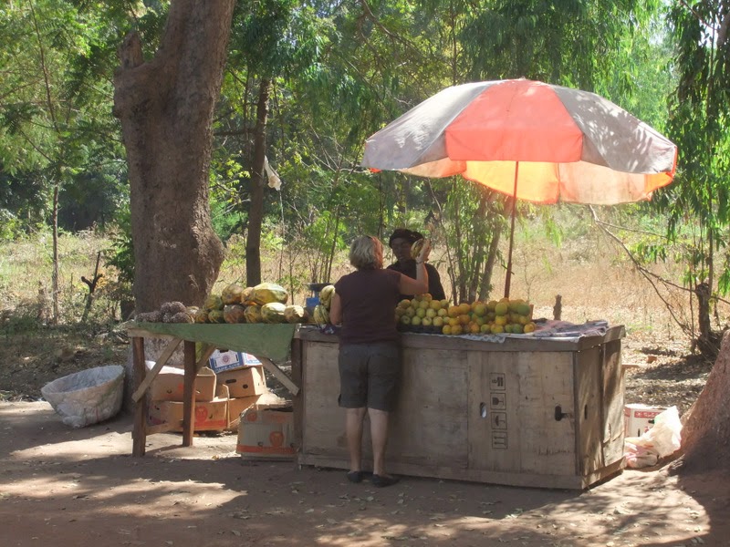 tombouctou terre de rencontres