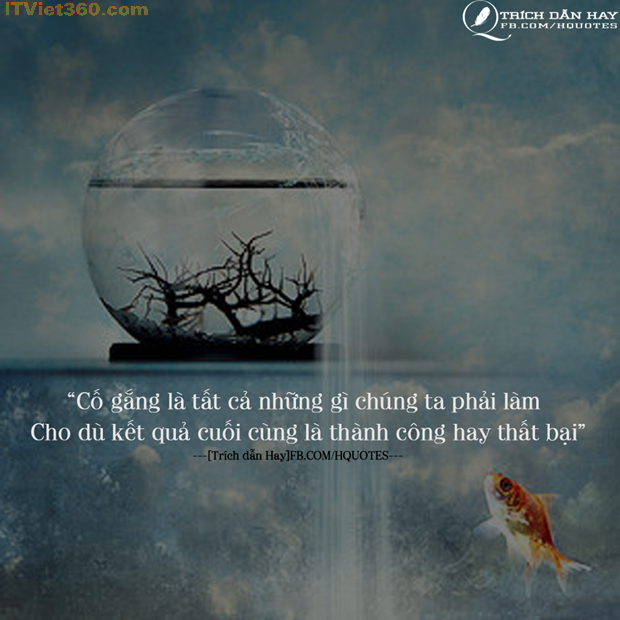 facebook-trich-dan-hay-tinh-yeu-cuoc-song-18.png