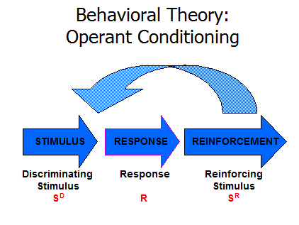 the main concepts of the behaviorist perspective theory Personality and skinner bf skinner proposed that our differences in our learning experiences are the main reason behind our individual differences in our. the main concepts of the behaviorist perspective theory Personality and skinner bf skinner proposed that our differences in our learning experiences are the main reason behind our individual differences in our.