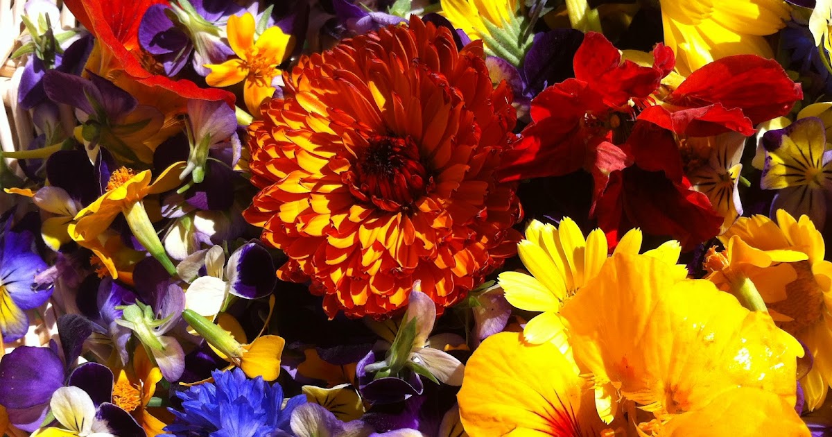 Country Thyme Farm Edible Flowers Adding beauty to your meals