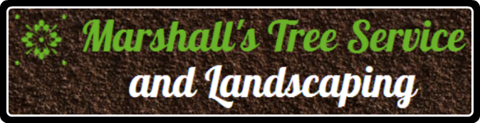 Marshalls Tree Care Service and Landscaping Designs