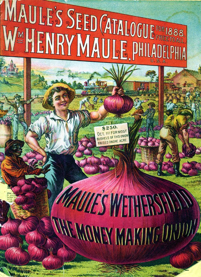 Flares into Darkness: 19th Century seed catalog covers