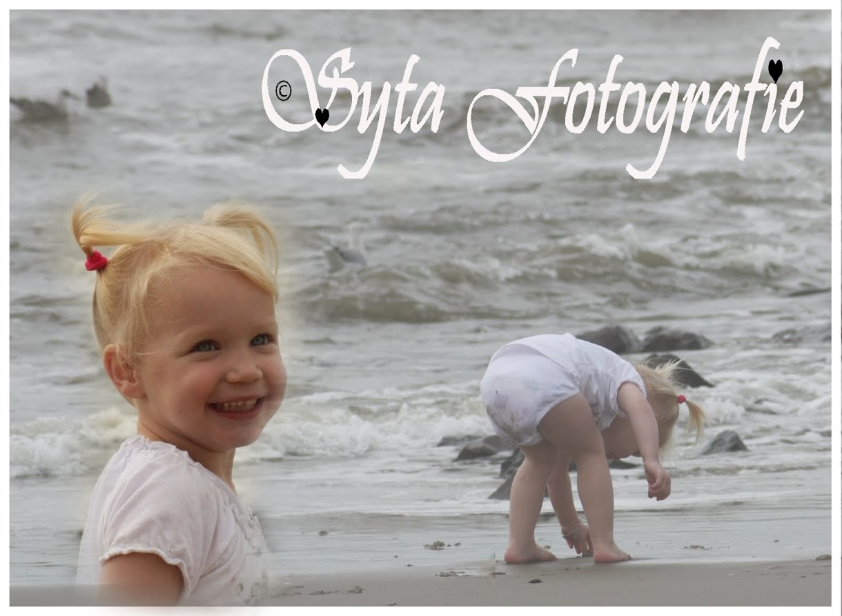 Syta Fotografie