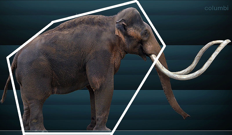 mastodonte rock mastodonte rock
