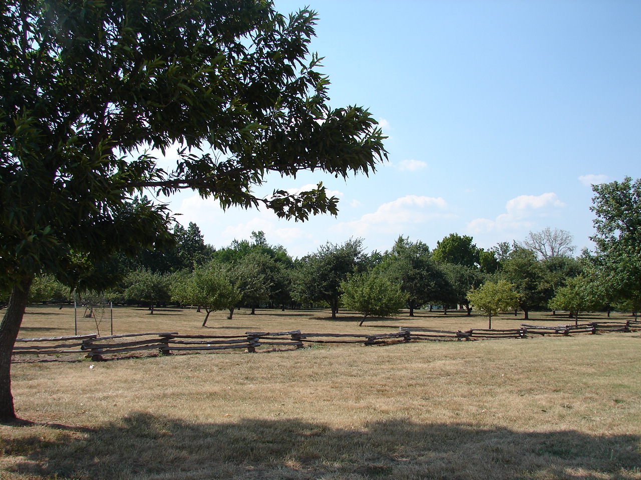 dating femmes draguignan