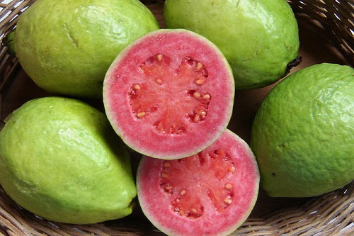 Jambu Biji Psidium Guajava Tumbuhan Berkhasiat