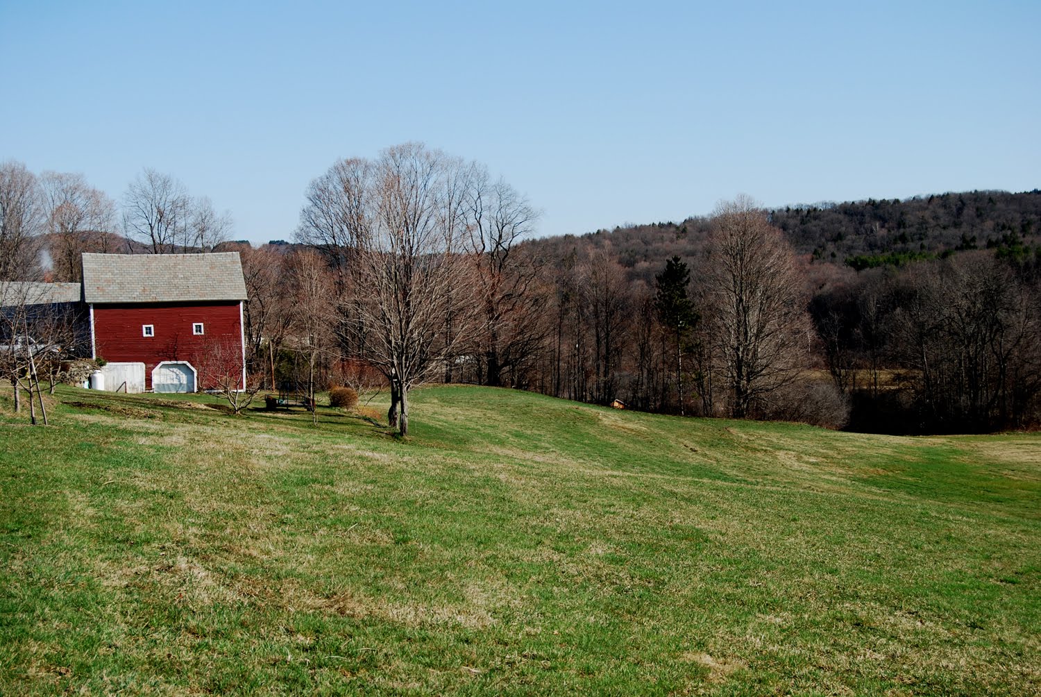 Contemporary Portrait Artists Sonia Hale Commissioned Portraits, Oil