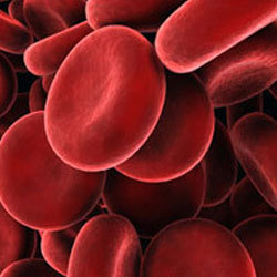 Cancers Of The Blood Cells