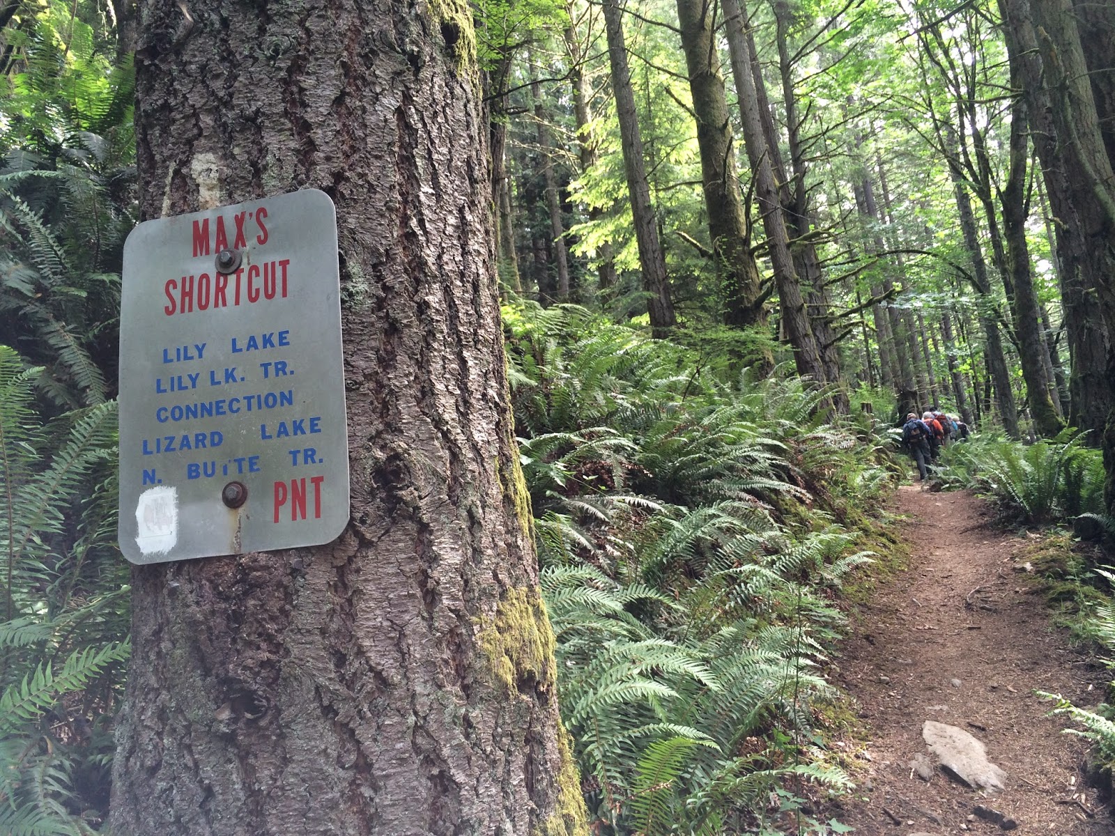 Hears Different Drummer Oyster Dome from Barrel Springs Trailblazer hike