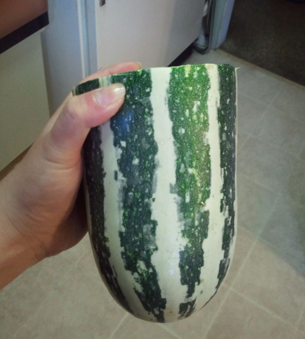 gardening in the boroughs of nyc Still a Mystery Squash