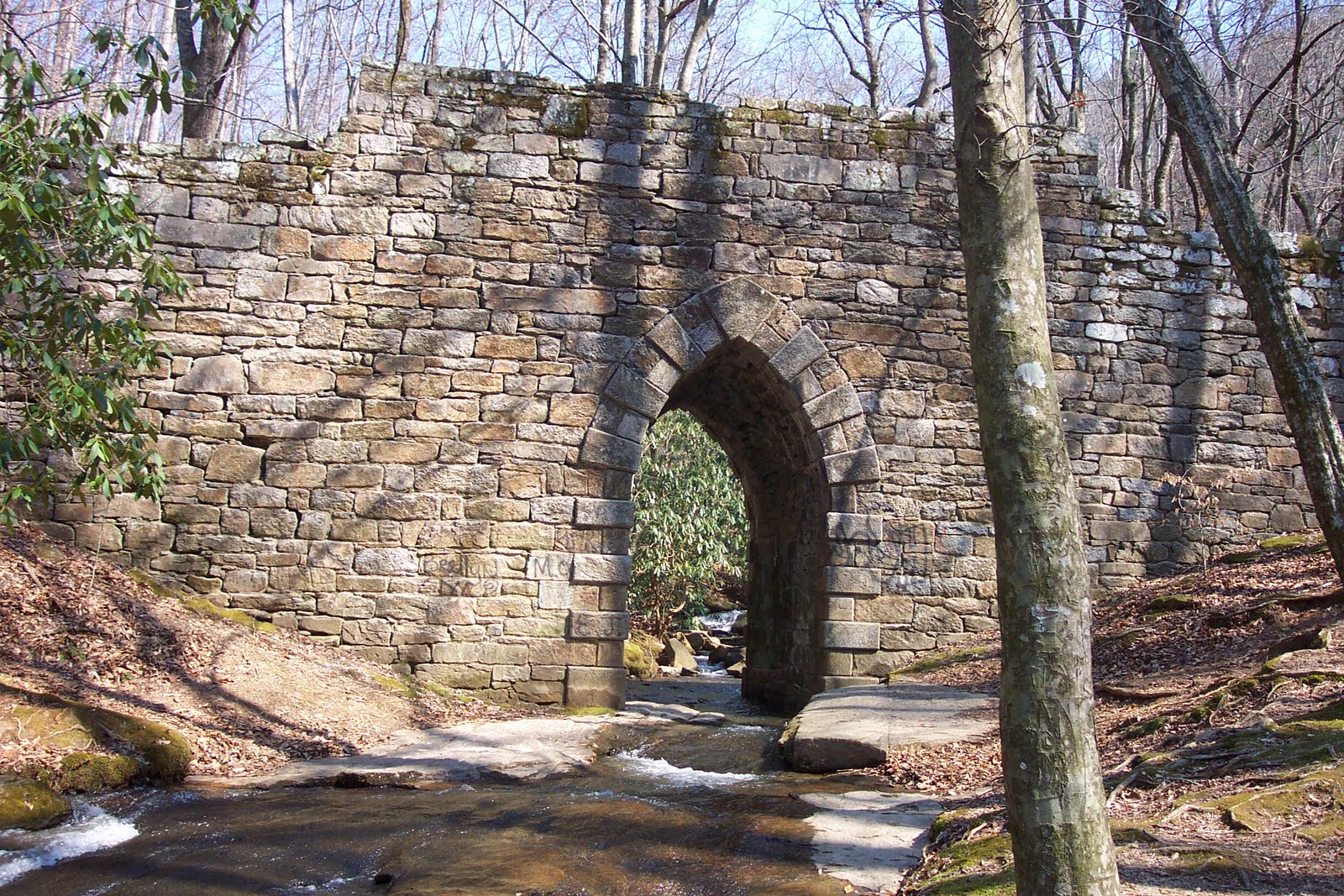 Poinsett Bridge Nature spots
