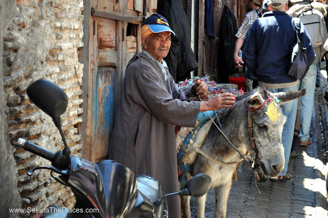 Fes Souk